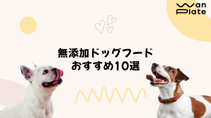 無添加ドッグフードおすすめ